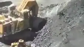 Когда не с кем оставить дома, взял с собой на работу