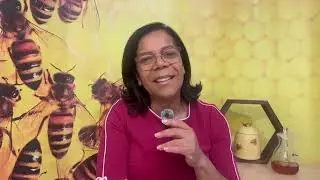 PRODUZA MAIS - ROSANA FONSECA