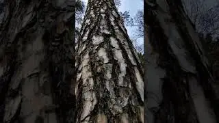 Ещё один способ запасаться счастьем🙂