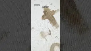 Краска распадается на два цвета 🔥🔥🔥