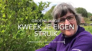 Groene magie: kweek je eigen struik