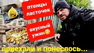 🔴деревенские хлопоты