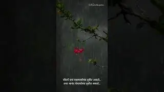 chim bhijale le |rany status|rain fall status|आनंद status|marathi nature status
