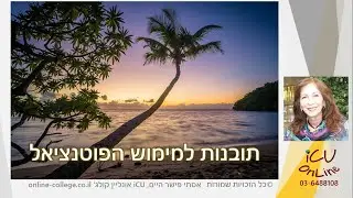 3 תובנות קריטיות למימוש מלא של הפוטנציאל שלך, לימודי קואצ'ינג אונליין עם אסתי פישר היים