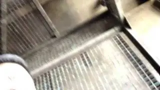 Zak Screams on Tower of Terror