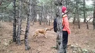 Фила 2 тест