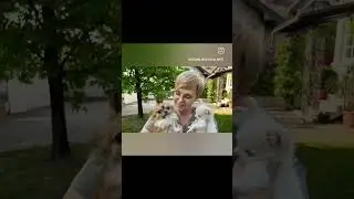 А вы бы хотели такого президента? Делитесь своим мнением в комментариях. 