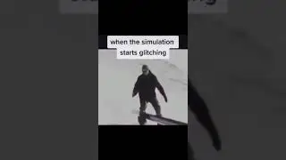 When the simulation starts glitching