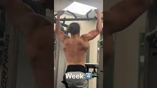 4 weeks of transformation