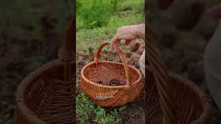 Этот день мы отмечаем каждый год! 