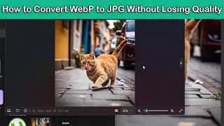 How to Convert WebP to JPG Without Losing Quality