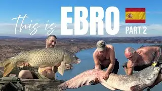 Carp & Catfish Adventure on the Ebro River | Caspe Winter Session (Part 2)