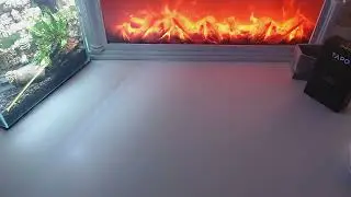 Как задать 1 вопрос если целое гадание не нужно