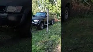 снесли дерево на машине 🚙🎗️🌳