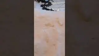 RUSSIA TODAY 🇷🇺 Life in Russia under sanctions