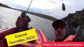 ЛОВИМ ПОСЛЕДНИЕ ТЁПЛЫЕ ДЕНЬКИ И ХАРИУСА!!! Рыбалка на Енисее 21.09.22г.