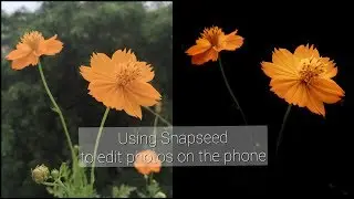Editing on a Mobile Phone using Snapseed - 1