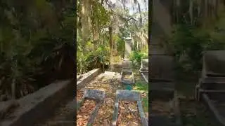 Just a quiet, quick stroll through Savannah's Bonaventure Cemetery.