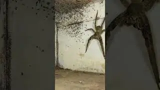 Что это? Это реальное фото или фотошоп?