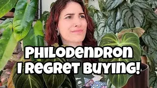 PHILODENDRON I HATE & REGRET BUYING!! 👎🏼 5 Houseplants I Won't Buy Again!! 🚫