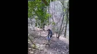 kim helbig tarzan im wald mit lianen