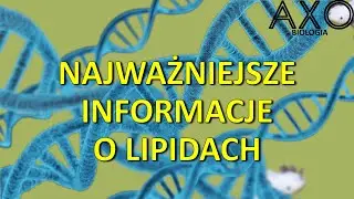 3. Lipidy
