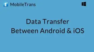 MobileTrans (Windows): Transfer Files and Data between Android and iOS Device