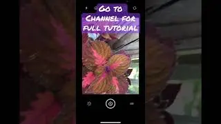 Awesome App for Motion Blurs on your Phone
