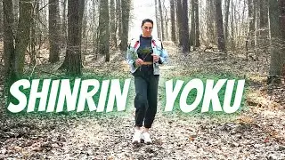 Jak las wpływa na zdrowie? 🌲