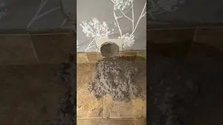 This Dryer Vent was Clogged with 20 Years of Lint! 😳 