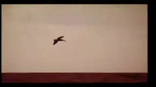 Ella es mi Gloria - Banda La Bocana (Video Oficial)