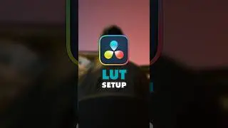 Super Simple Lut Setup 🤩🎨 