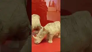 без лишних слов 