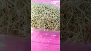 Заготовка домашней яичной лапши