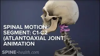 Spinal Motion Segment: C1-C2 (Atlantoaxial Joint) Animation