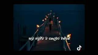 අපි පතනා ජීවිත/api pathana jeewitha/music lyrics song