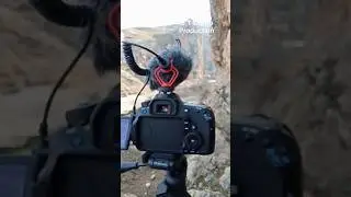 D.T Group Canon