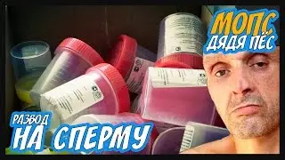 МОПС ГОНИТ ЗА СПЕРМУ (полная версия)