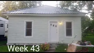 $6,000 fixer-upper Week 43: Nesting