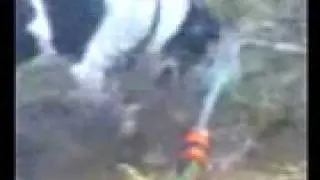 snoopy with hose.3gp