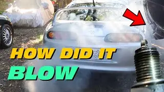 What happened to the Supra? : Searching for an Answer!