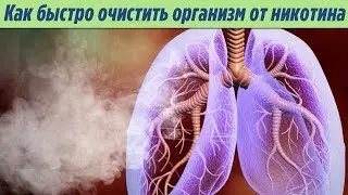 Как быстро очистить организм от никотина и его остатков Правильные продукты для очищения организма