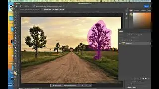 Photoshop Remove Tool