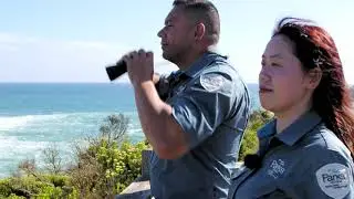 Port Campbell National Park Visitor Guide