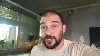 Я очень отстал от Рыбок!!! Мне нужно вернуться!!!