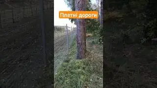 платні дороги із зовні