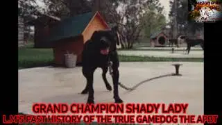 APBT  Reble's Grand Champion Shady Lady 5XW POR