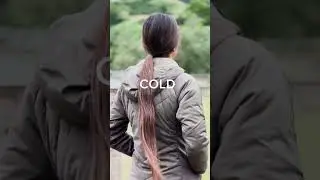 All Day, All Weather