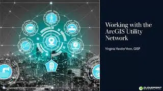 Working with the ArcGIS Utility Network