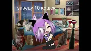 я останусь одна на-на-на заведу 10 кошек буду вечно пьяна 😌